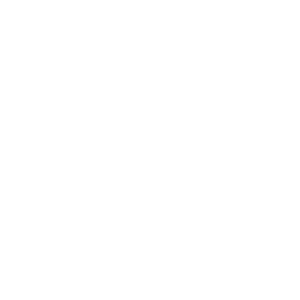 cv-white-logo.png
